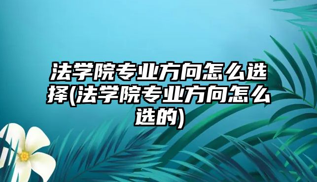 法學(xué)院專業(yè)方向怎么選擇(法學(xué)院專業(yè)方向怎么選的)