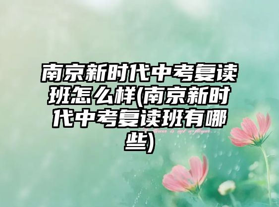 南京新時代中考復(fù)讀班怎么樣(南京新時代中考復(fù)讀班有哪些)