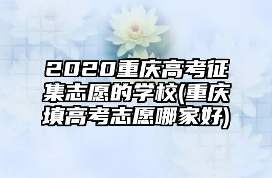 2020重慶高考征集志愿的學校(重慶填高考志愿哪家好)