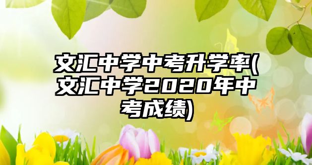 文匯中學(xué)中考升學(xué)率(文匯中學(xué)2020年中考成績(jī))