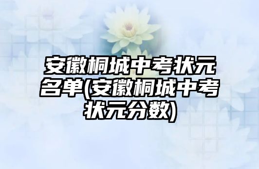 安徽桐城中考狀元名單(安徽桐城中考狀元分數(shù))