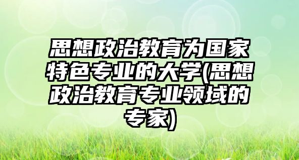 思想政治教育為國(guó)家特色專業(yè)的大學(xué)(思想政治教育專業(yè)領(lǐng)域的專家)