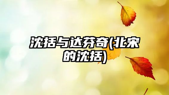 沈括與達芬奇(北宋的沈括)