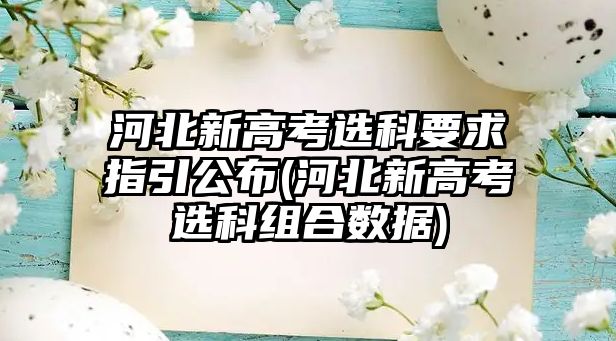 河北新高考選科要求指引公布(河北新高考選科組合數(shù)據(jù))