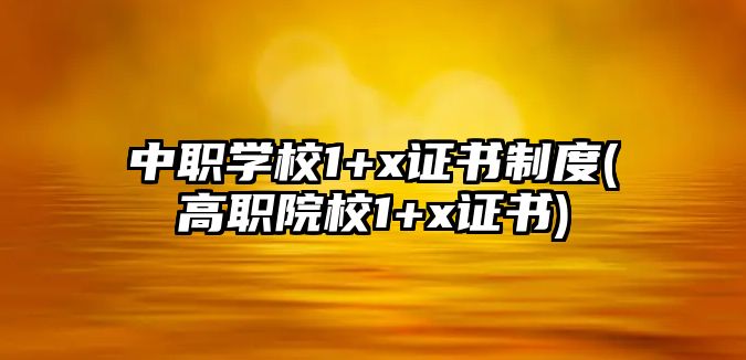 中職學(xué)校1+x證書制度(高職院校1+x證書)