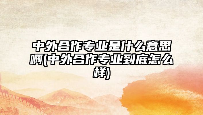 中外合作專業(yè)是什么意思啊(中外合作專業(yè)到底怎么樣)