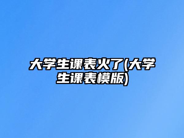 大學生課表火了(大學生課表模版)