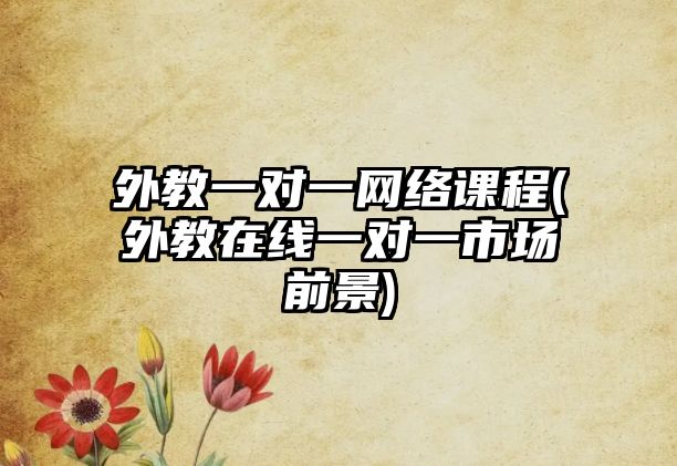 外教一對一網(wǎng)絡(luò)課程(外教在線一對一市場前景)