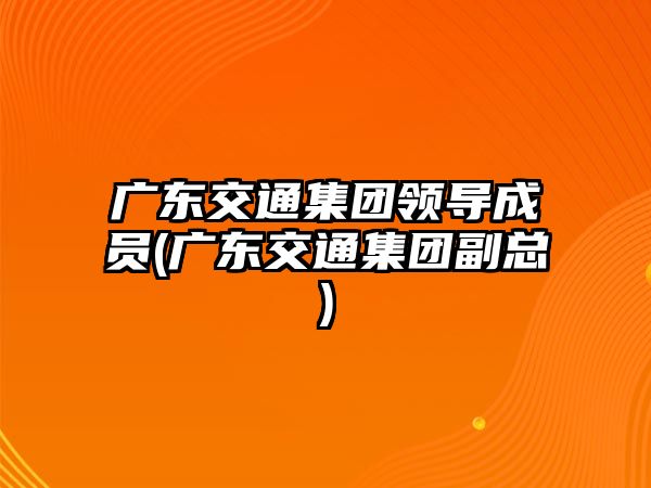 廣東交通集團領導成員(廣東交通集團副總)