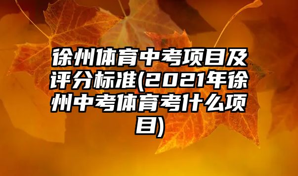 徐州體育中考項目及評分標(biāo)準(zhǔn)(2021年徐州中考體育考什么項目)