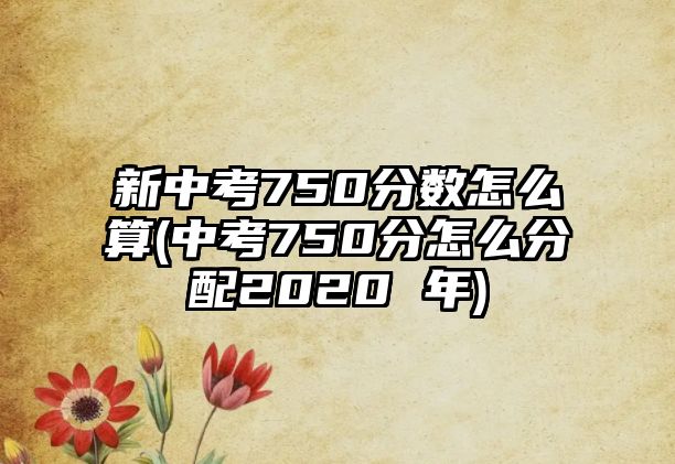 新中考750分?jǐn)?shù)怎么算(中考750分怎么分配2020 年)