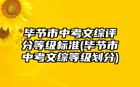 畢節(jié)市中考文綜評分等級標準(畢節(jié)市中考文綜等級劃分)