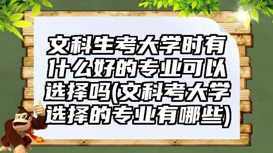 文科生考大學時有什么好的專業(yè)可以選擇嗎(文科考大學選擇的專業(yè)有哪些)