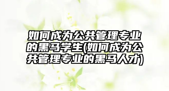 如何成為公共管理專業(yè)的黑馬學(xué)生(如何成為公共管理專業(yè)的黑馬人才)