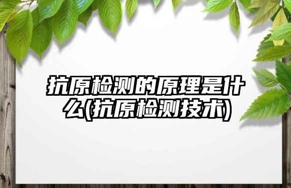 抗原檢測(cè)的原理是什么(抗原檢測(cè)技術(shù))