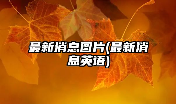 最新消息圖片(最新消息英語(yǔ))