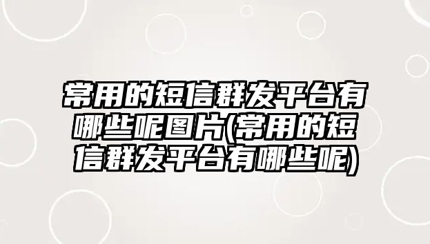 常用的短信群發(fā)平臺有哪些呢圖片(常用的短信群發(fā)平臺有哪些呢)