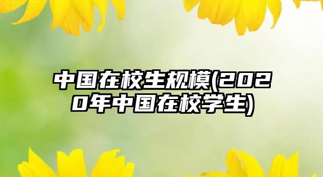 中國(guó)在校生規(guī)模(2020年中國(guó)在校學(xué)生)