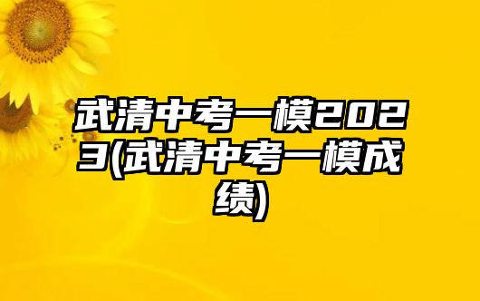 武清中考一模2023(武清中考一模成績)