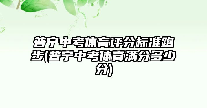 普寧中考體育評(píng)分標(biāo)準(zhǔn)跑步(普寧中考體育滿分多少分)