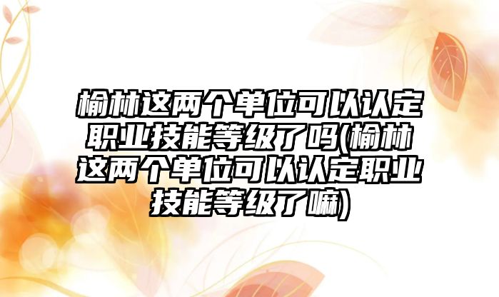 榆林這兩個(gè)單位可以認(rèn)定職業(yè)技能等級(jí)了嗎(榆林這兩個(gè)單位可以認(rèn)定職業(yè)技能等級(jí)了嘛)