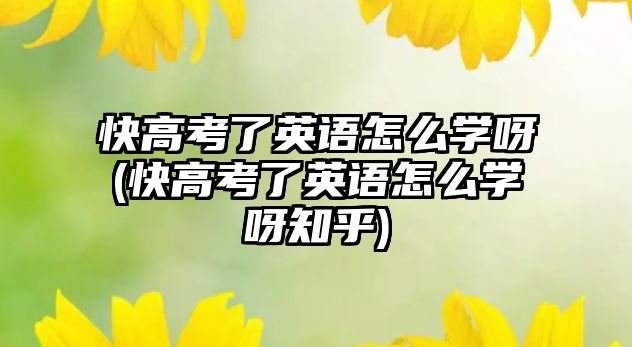 快高考了英語怎么學(xué)呀(快高考了英語怎么學(xué)呀知乎)