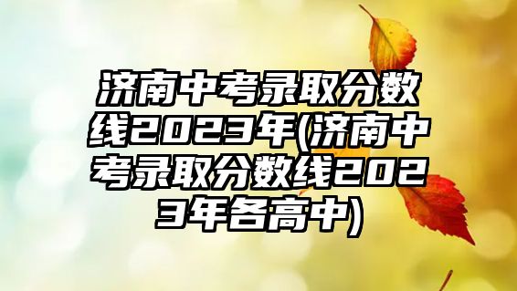 濟南中考錄取分數(shù)線2023年(濟南中考錄取分數(shù)線2023年各高中)