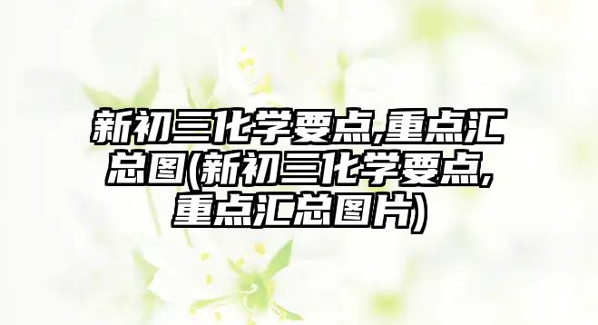 新初三化學(xué)要點(diǎn),重點(diǎn)匯總圖(新初三化學(xué)要點(diǎn),重點(diǎn)匯總圖片)