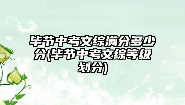 畢節(jié)中考文綜滿分多少分(畢節(jié)中考文綜等級劃分)