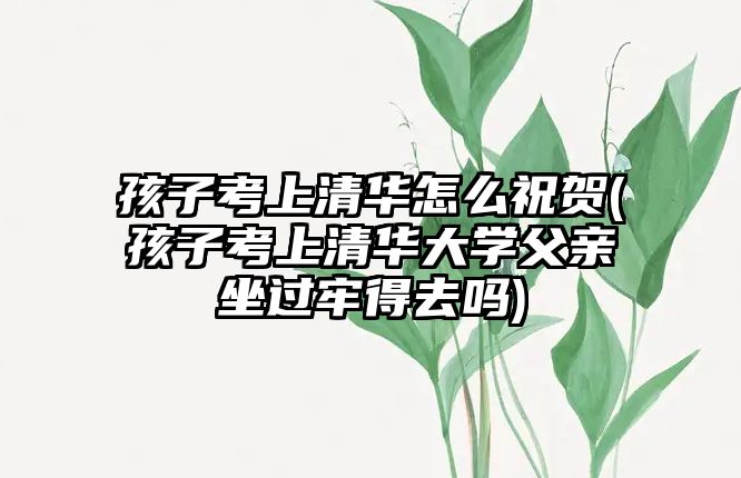 孩子考上清華怎么祝賀(孩子考上清華大學父親坐過牢得去嗎)