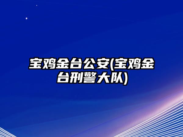 寶雞金臺公安(寶雞金臺刑警大隊)