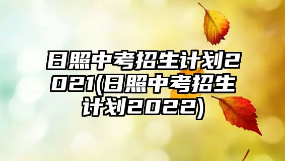 日照中考招生計劃2021(日照中考招生計劃2022)