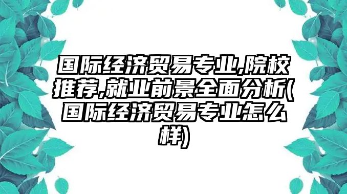 國(guó)際經(jīng)濟(jì)貿(mào)易專業(yè),院校推薦,就業(yè)前景全面分析(國(guó)際經(jīng)濟(jì)貿(mào)易專業(yè)怎么樣)