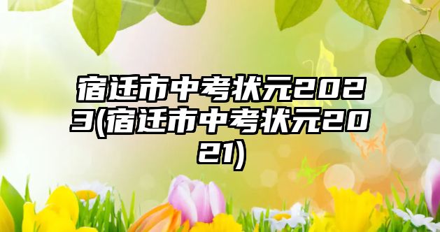 宿遷市中考狀元2023(宿遷市中考狀元2021)