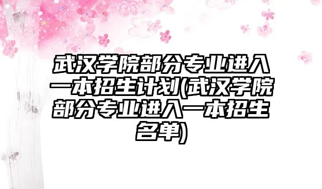 武漢學院部分專業(yè)進入一本招生計劃(武漢學院部分專業(yè)進入一本招生名單)