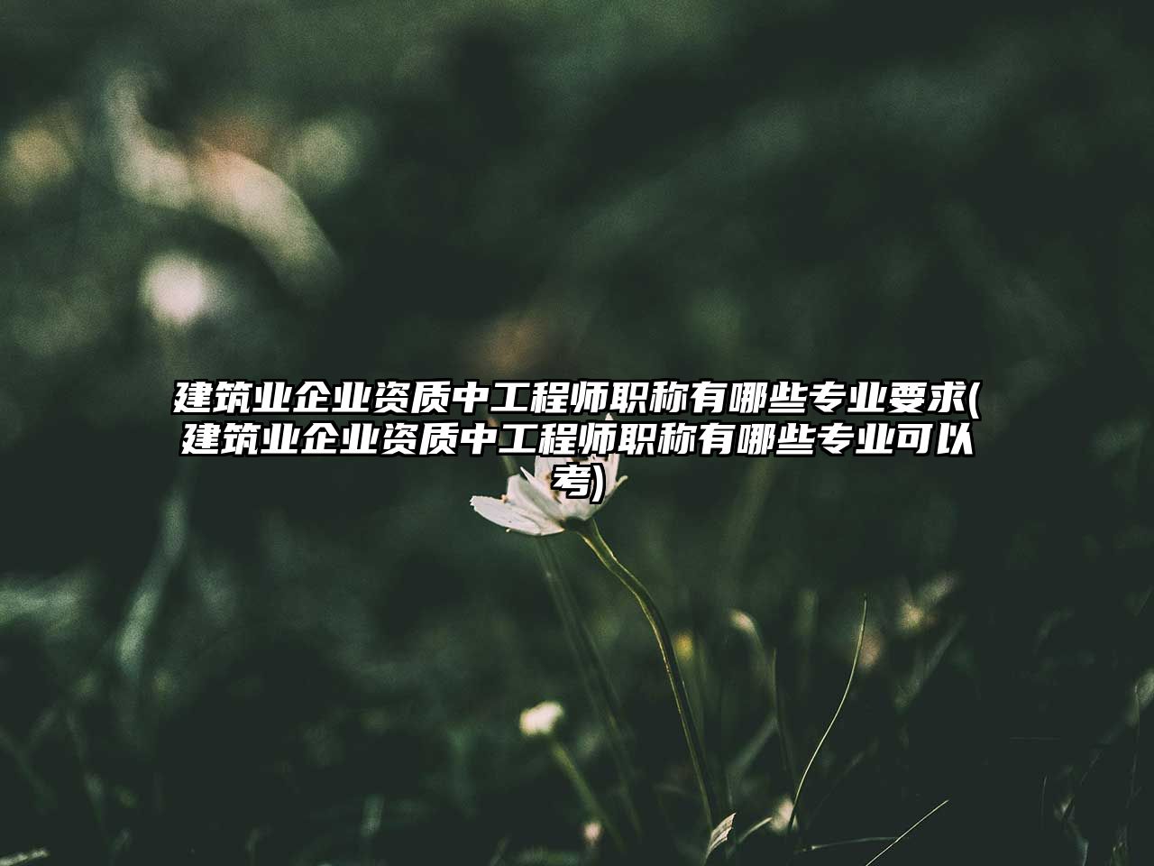 建筑業(yè)企業(yè)資質(zhì)中工程師職稱有哪些專業(yè)要求(建筑業(yè)企業(yè)資質(zhì)中工程師職稱有哪些專業(yè)可以考)