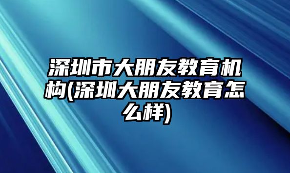 深圳市大朋友教育機構(深圳大朋友教育怎么樣)