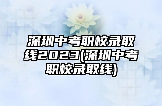 深圳中考職校錄取線2023(深圳中考職校錄取線)