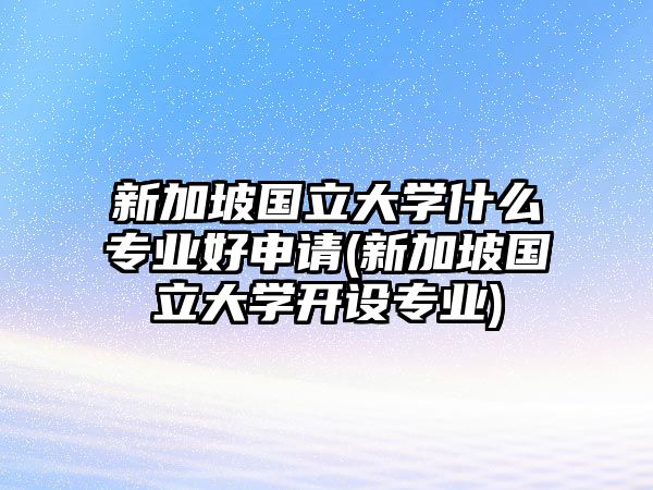 新加坡國立大學(xué)什么專業(yè)好申請(新加坡國立大學(xué)開設(shè)專業(yè))