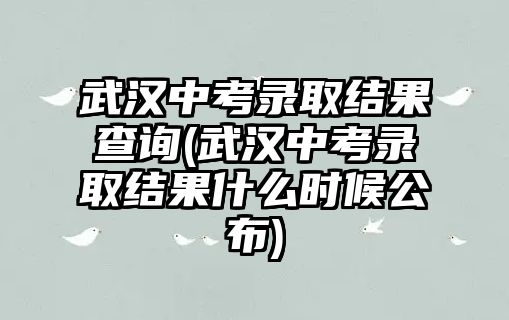 武漢中考錄取結果查詢(武漢中考錄取結果什么時候公布)