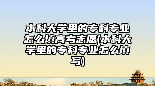 本科大學里的?？茖I(yè)怎么填高考志愿(本科大學里的?？茖I(yè)怎么填寫)