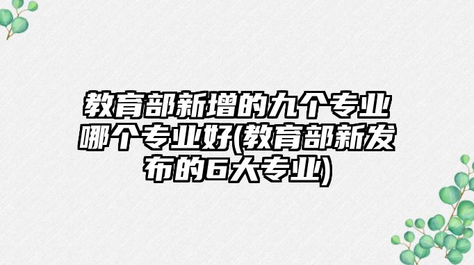 教育部新增的九個(gè)專業(yè)哪個(gè)專業(yè)好(教育部新發(fā)布的6大專業(yè))