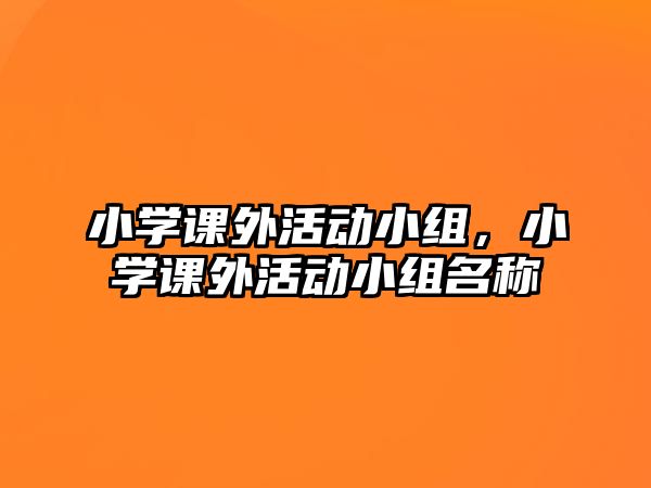 小學(xué)課外活動(dòng)小組，小學(xué)課外活動(dòng)小組名稱