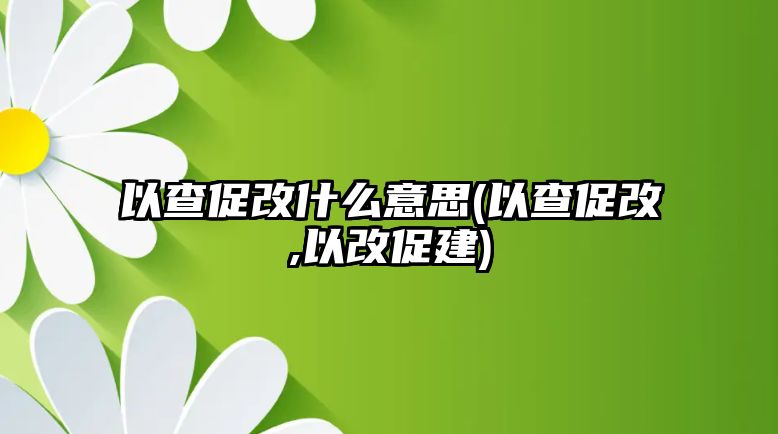 以查促改什么意思(以查促改,以改促建)