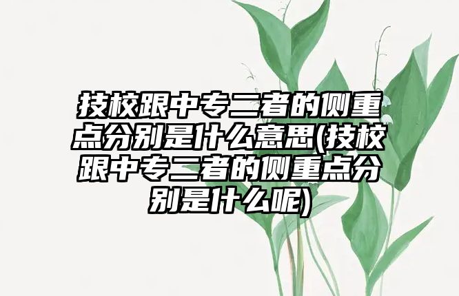 技校跟中專二者的側重點分別是什么意思(技校跟中專二者的側重點分別是什么呢)