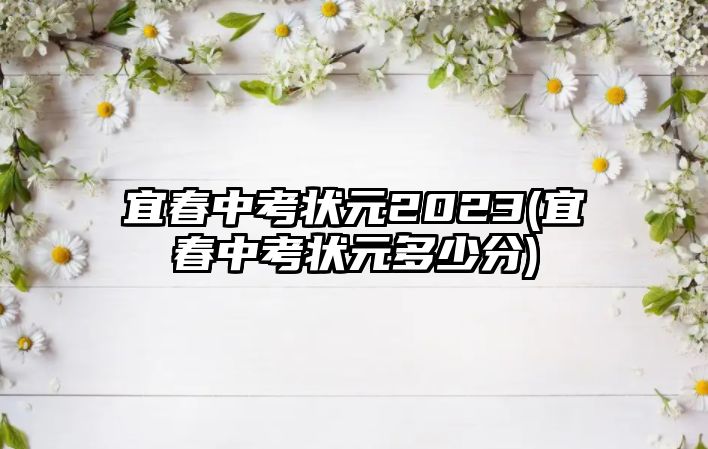 宜春中考狀元2023(宜春中考狀元多少分)