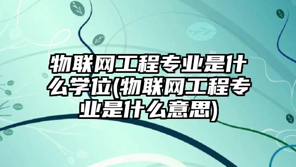 物聯(lián)網(wǎng)工程專業(yè)是什么學位(物聯(lián)網(wǎng)工程專業(yè)是什么意思)