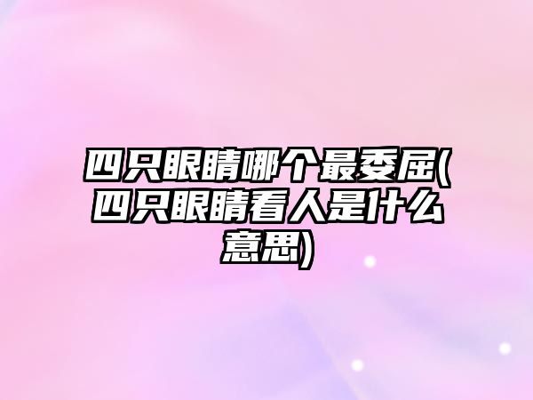 四只眼睛哪個(gè)最委屈(四只眼睛看人是什么意思)