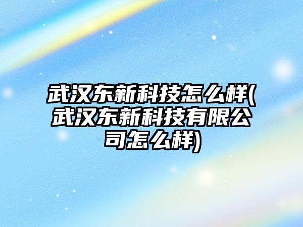 武漢東新科技怎么樣(武漢東新科技有限公司怎么樣)