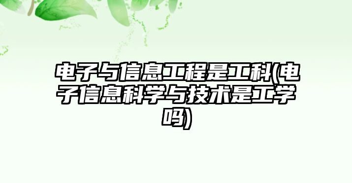 電子與信息工程是工科(電子信息科學與技術是工學嗎)